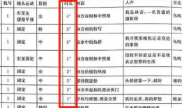 视频脚本模板,跟随模板打造引人入胜的视听盛宴